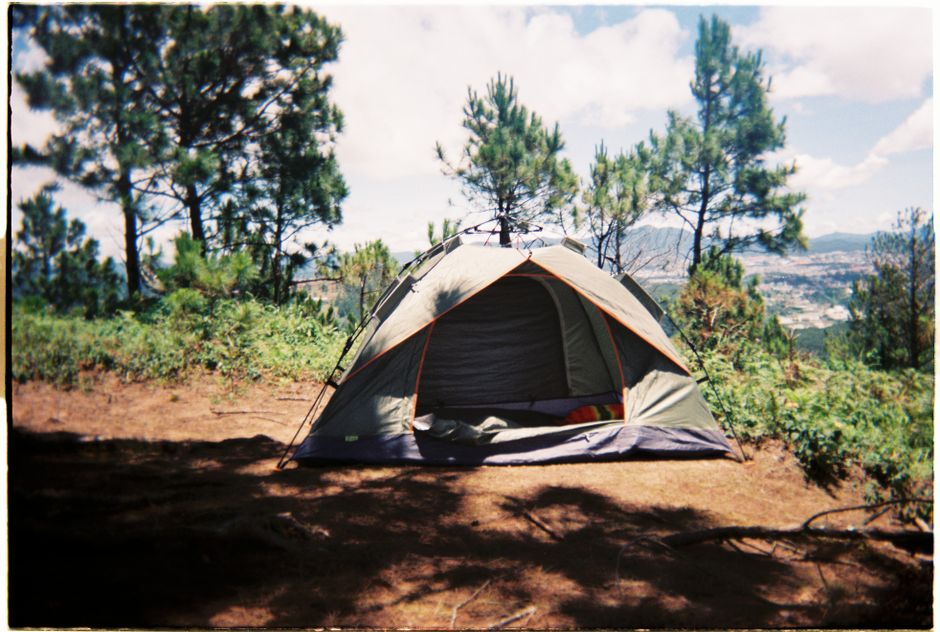 Kamp pod borovima uz more